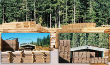 Panel Crafters, Inc., a sister company to Lazy S Lumber Inc. in 